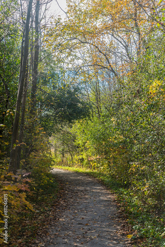 Fall time in park