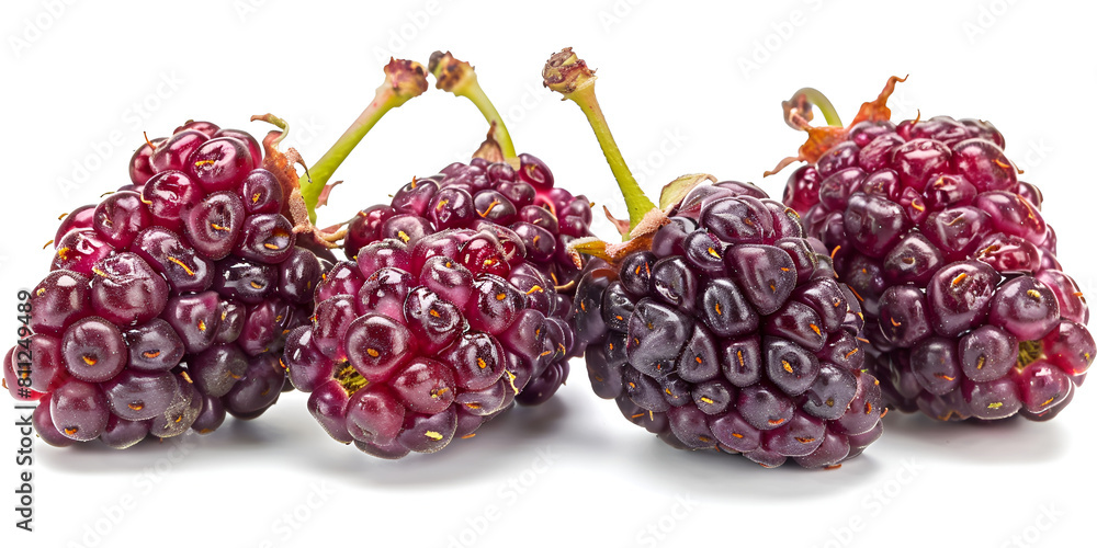 Three plump mulberries displayed on a simple white surface.
Three plump mulberries displayed on a simple white surface.