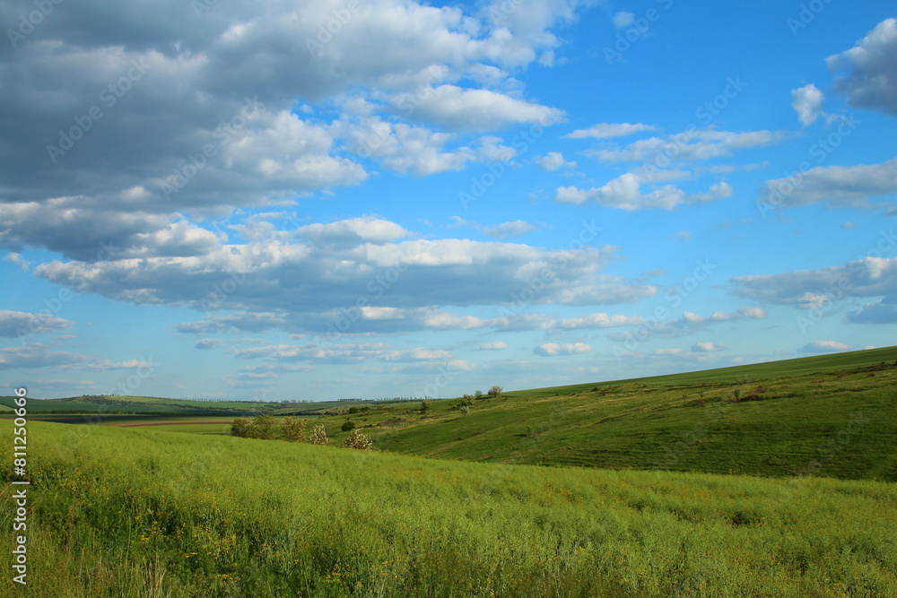 A grassy field with blue sky and clouds A grassy field with blue sky and clouds