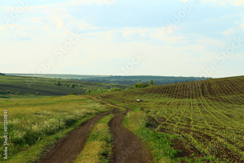 A dirt road through a field