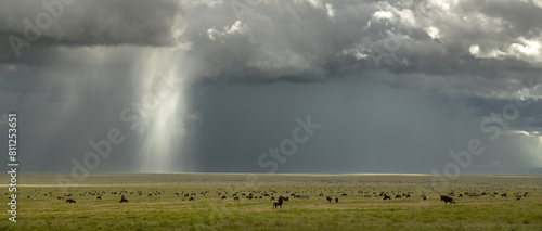 Storm over the Serengeti