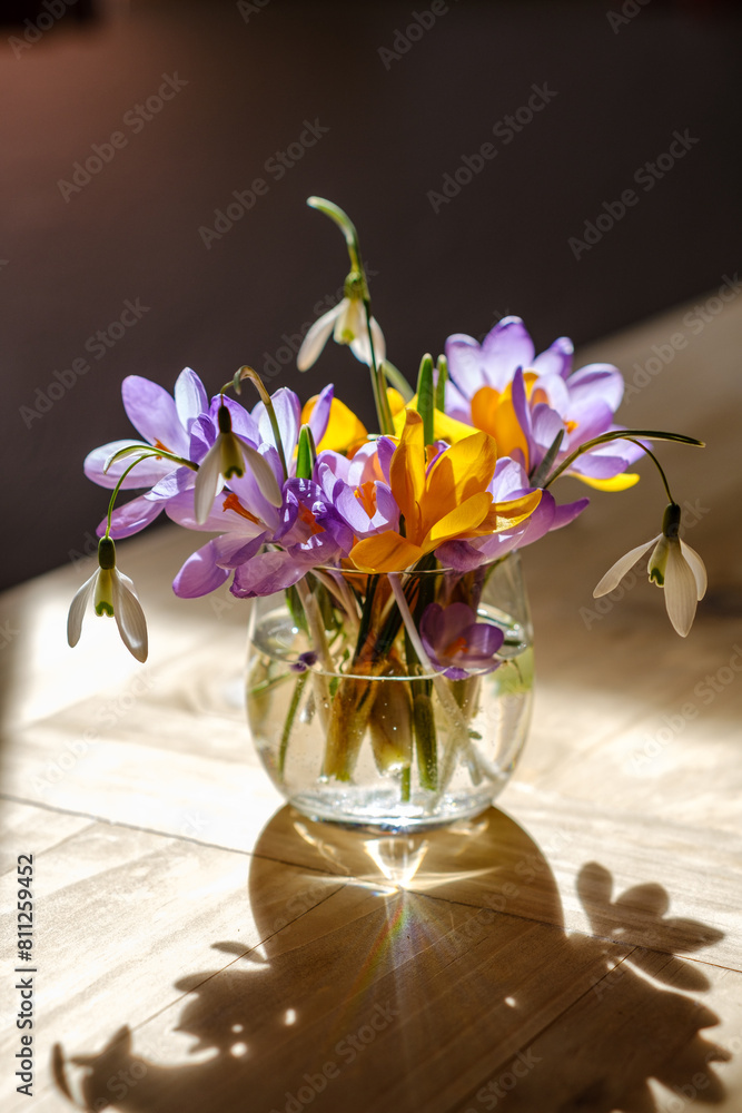 Bouquet of purple crocus in vase. Spring flowers in a vase.