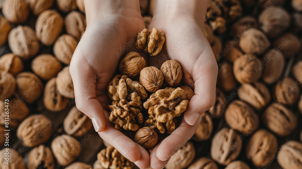 A handful of walnuts in hands against the background of a pile of walnuts A handful of walnuts in hands against the background of a pile of walnuts