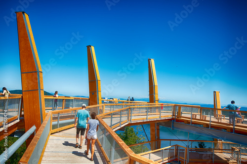 The Malahat Skywalk: A Thrilling Journey Above the Treetops