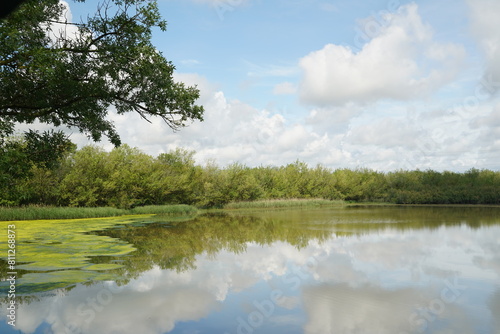 Wetland with bright colors and sky with clouds with reflections. in Aiguamolls d'Emporda natural park, Catalonia horizontal photo photo