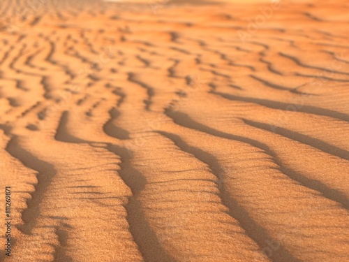 sand dunes in the desert