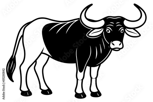 black and white bull vector illustration