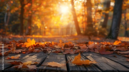 Autumn Table - Orange Leaves And Wooden Plank At Sunset In Forest