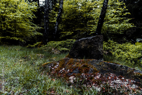 Autumn landscape in the forest. The stones are covered with moss.