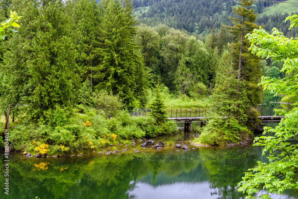 A bridge over a small forest stream against the backdrop of a green forest and a wooded mountainside. This place is located in Hayward Lake Recreation Area in Maple Ridge
