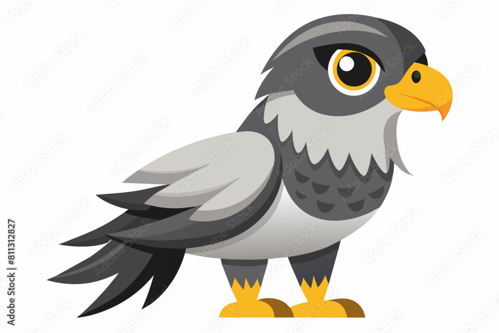 goshawk cartoon vector illustration goshawk cartoon vector illustration