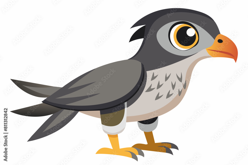 goshawk cartoon vector illustration goshawk cartoon vector illustration