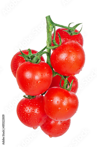 Branch with ripe tomatoes. Red tomatoes isolate on a white background. Vegetables. © Lesia