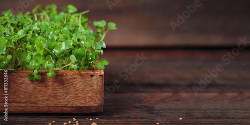 Fresh mustard microgreens on wooden background, an organic dietary supplement packed with nutrients. photo