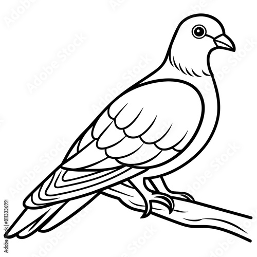 line art of a pigeon, white background