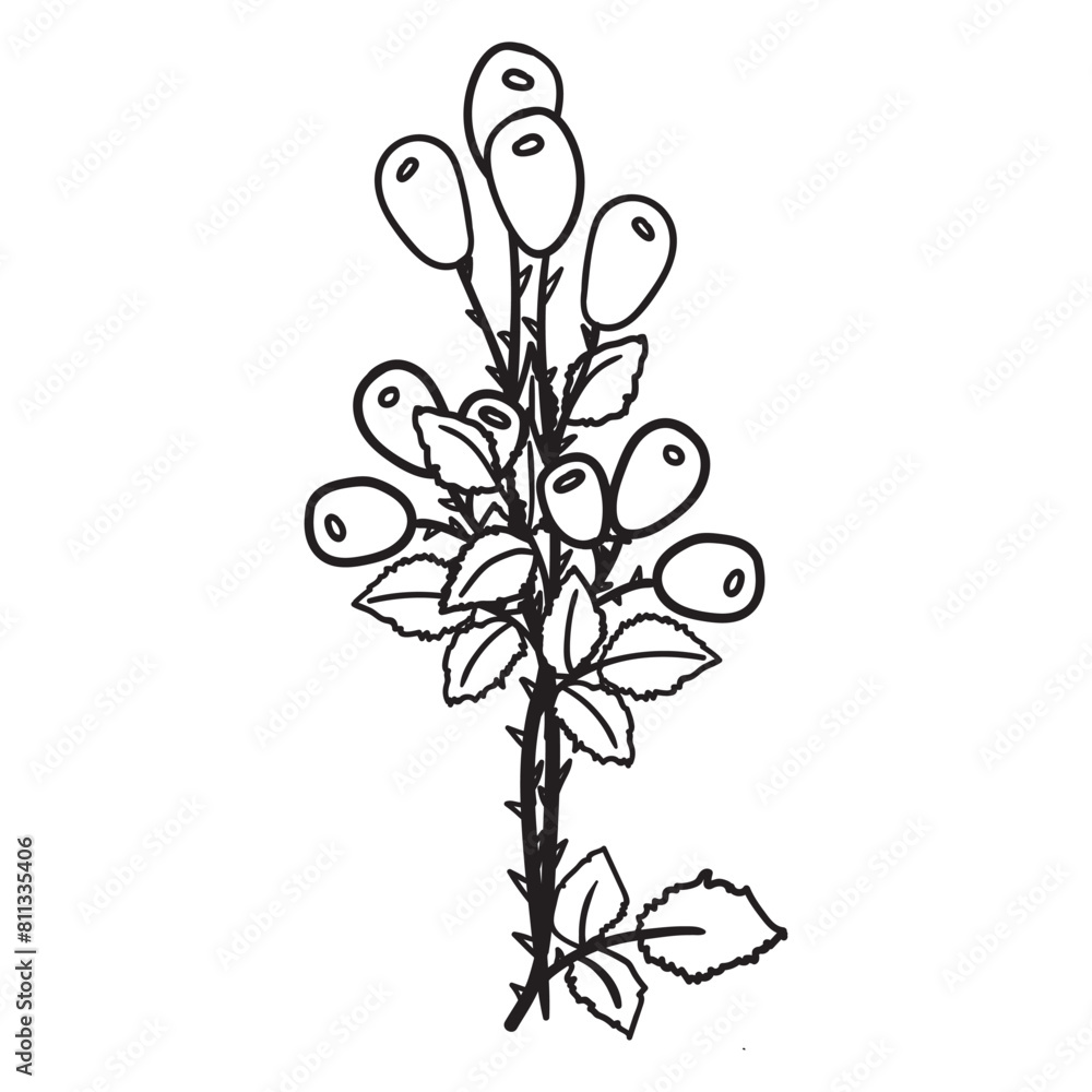 Wildflowers svg, Floral svg, Wild flower svg, flower sketch svg, Bouquet svg bundle, minimalist bouquet svg, botanical svg, field plants svg, floral leaves svg, branches svg, Bouquet svg Wildflowers svg, Floral svg, Wild flower svg, flower sketch svg, Bouquet svg bundle, minimalist bouquet svg, botanical svg, field plants svg, floral leaves svg, branches svg, Bouquet svg
