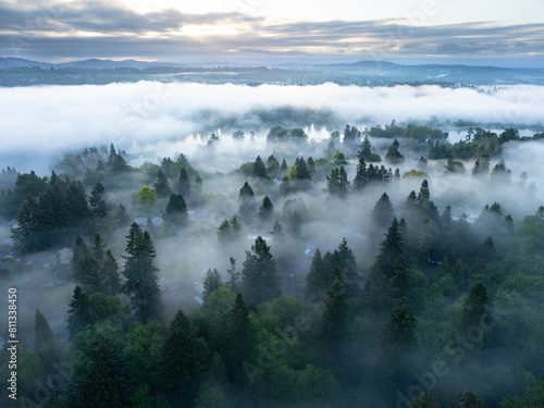 Early morning light illuminates fog drifting above the Willamette River flowing through the beautiful Willamette Valley not far south of Portland, Oregon.