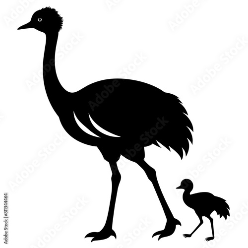 Emu bird vector silhouette, black color silhouette, white background (9)