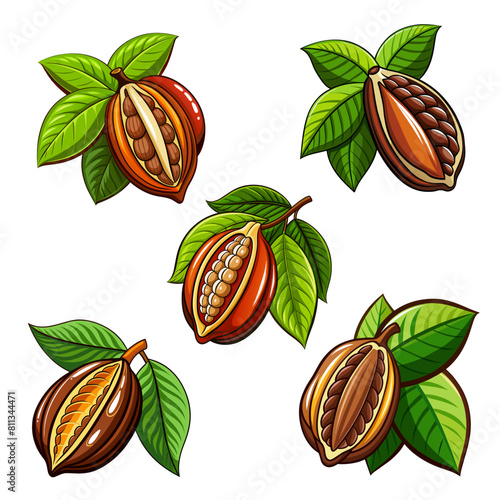 Set of cocoa beans isolated on white background