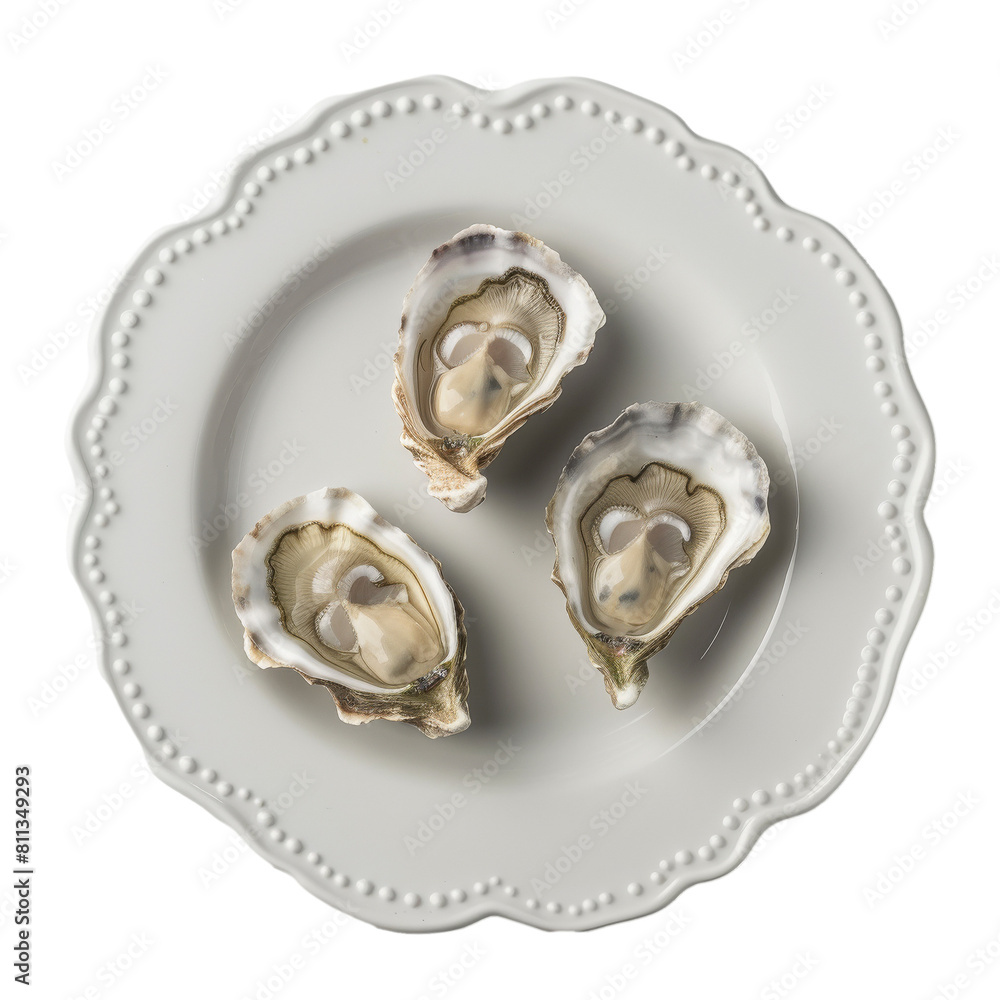 Three Oysters on White Plate Three Oysters on White Plate