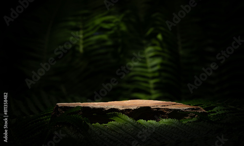 Fototapeta Naklejka Na Ścianę i Meble -  stones and plants for the podium product presentation. natural orange stones with texture on a background of green fern leaves for the podium presentation of products cosmetics medicine jewelry perfum