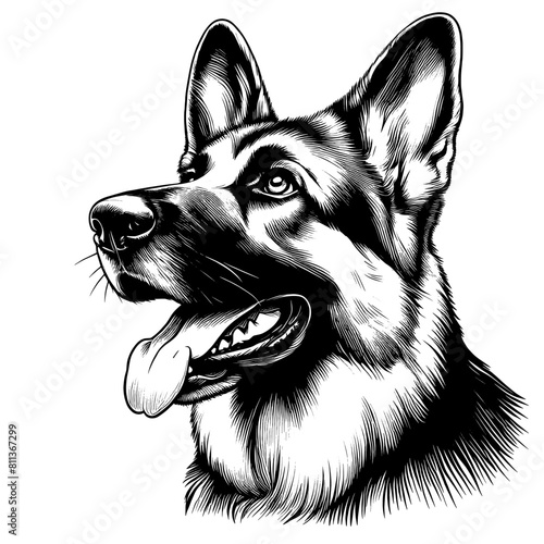 Cute German Shepherd portrait, hand drawn sketch. Vector isolated on white background	