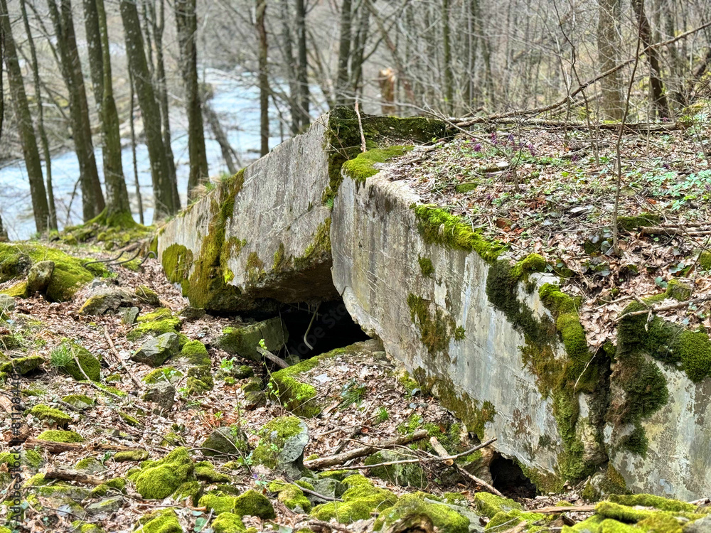 2 World War Arpad Line in the Carpathians -Hungary, now Ukraine. In the beech forest of Transcarpathia, old trenches and dugouts, reinforced concrete hexagonal small pillboxes with an embra 2 World War Arpad Line in the Carpathians -Hungary, now Ukraine. In the beech forest of Transcarpathia, old trenches and dugouts, reinforced concrete hexagonal small pillboxes with an embra