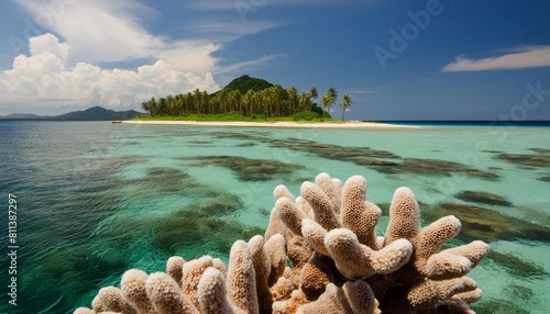 coral reef in background of tropical desert island