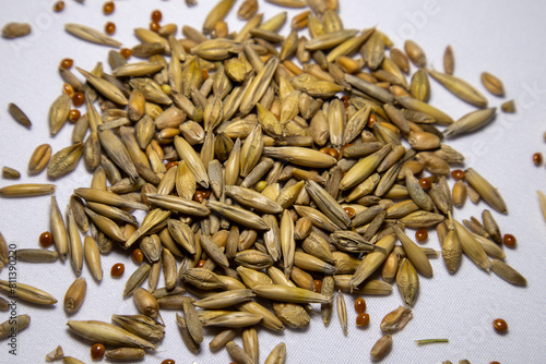 Seeds of oats, wheat, barley, rye and millet. Grass for cats.