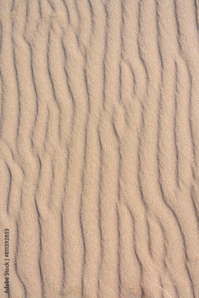 Clean golden sand windblown into curved ripples, as a tropical nature beach background
Clean golden sand windblown into curved ripples, as a tropical nature beach background