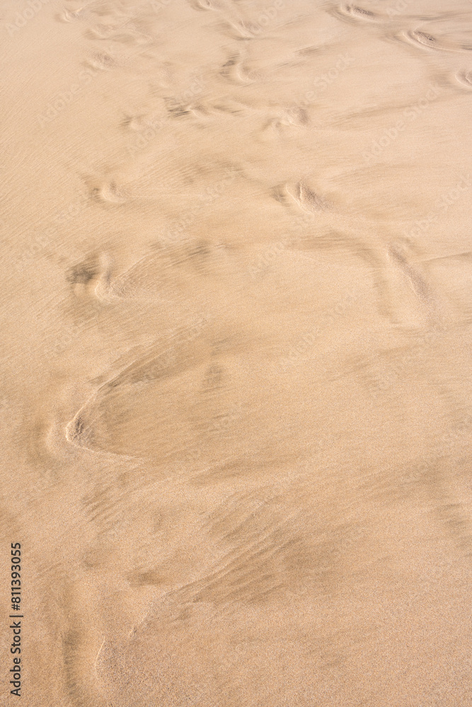 Clean golden sand with wave patterns, as a tropical nature beach background
Clean golden sand with wave patterns, as a tropical nature beach background