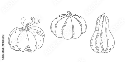 Pumpkins set hand drawn outline doodle vector illustration vegetable for seasonal autumn holidays celebration design, healthy vegetarian diet, Thanksgiving, Halloween clipart © Contes de fée 