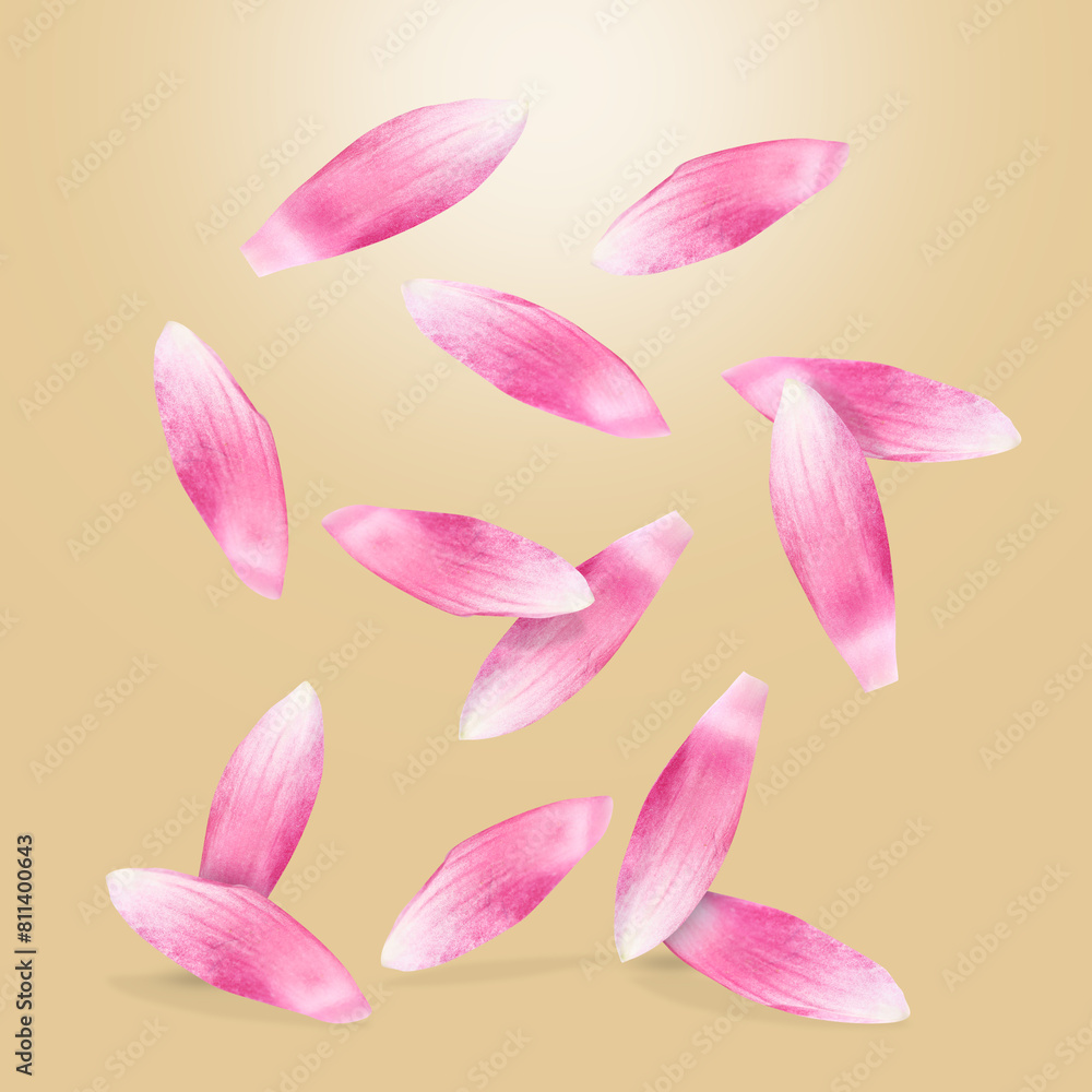 Pink lotus flower petals falling on dark beige background Pink lotus flower petals falling on dark beige background