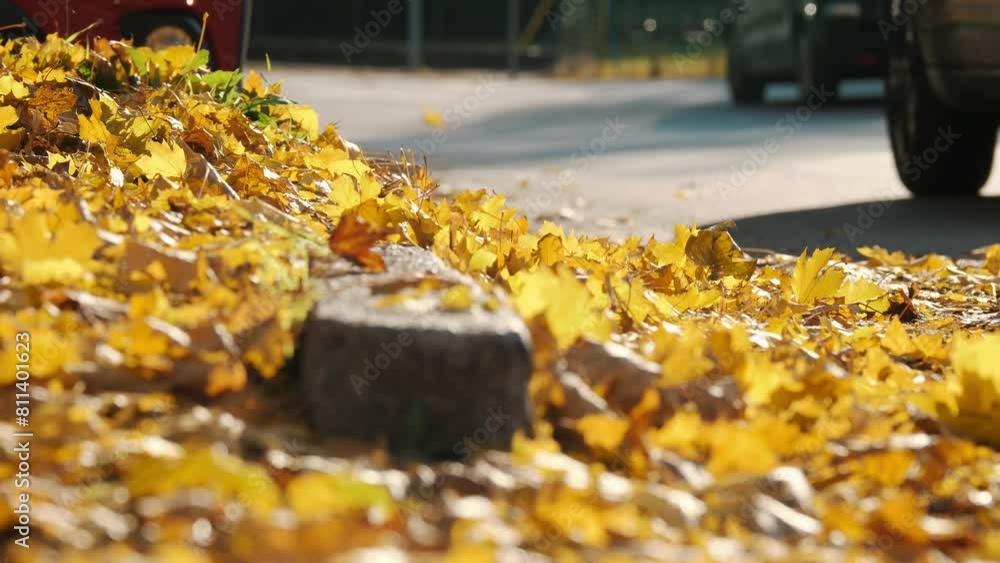 Autumn. Yellow leaves lie along the road in the town. A car drives along the leaves. Autumn. Yellow leaves lie along the road in the town. A car drives along the leaves.