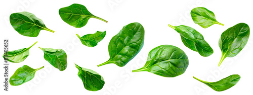 Fresh green leaves of baby spinach over isolated transparent background photo