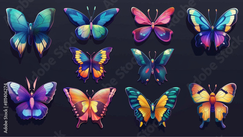 set of butterfly
