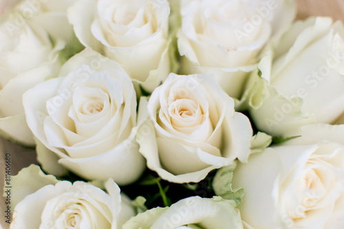 Bouquet of cream roses closeup. Soft focus.