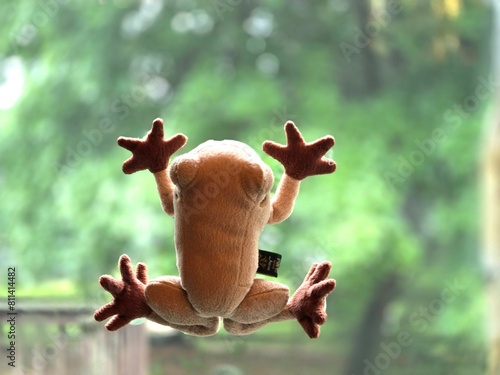 frog toy stick on glass window facing to garden photo