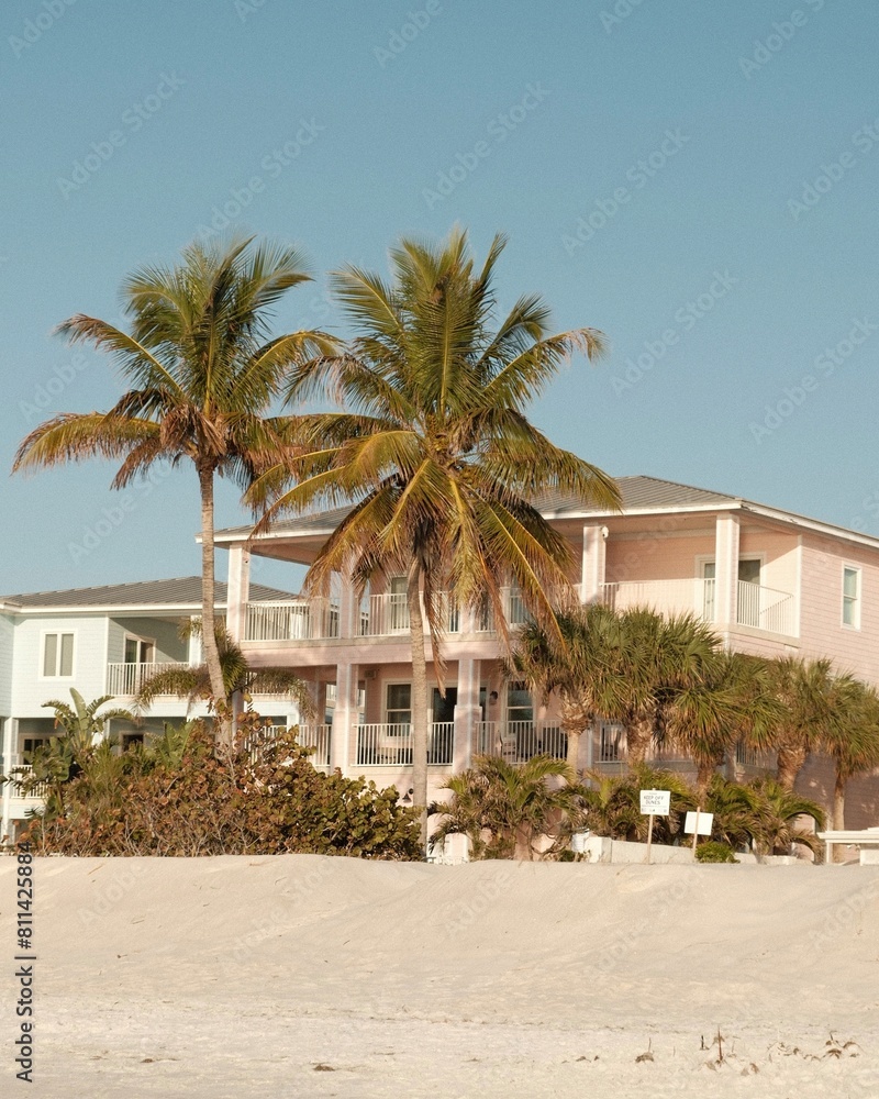 Fototapeta premium beach house with palm trees 
