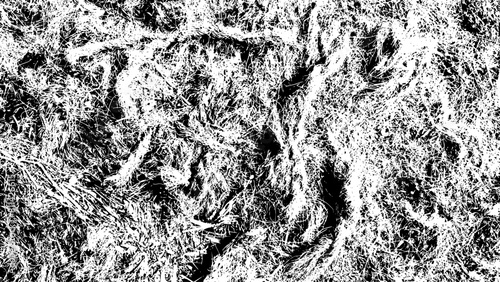 8-67. Old Palm Mat Black and White Textured Background - Illustration.