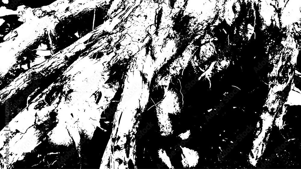 8-47. Tree root texture effect - illustration. Old wood black and white vector texture.