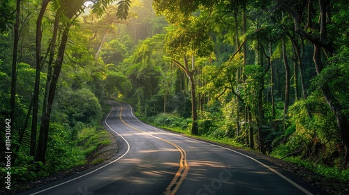 Embark on a mesmerizing journey through the lush Tropical Rainforest along the scenic roads of Khaoyai National Park in Thailand a recognized World Heritage site of incomparable natural bea photo