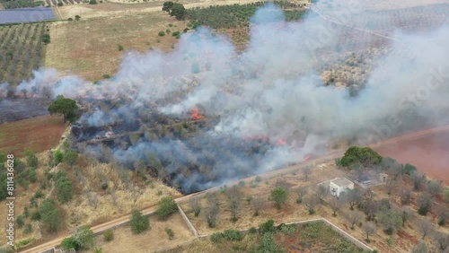 incendio in una campagna pugliese gestito dall'intervento dei vigili del fuoco e della protezione civile photo