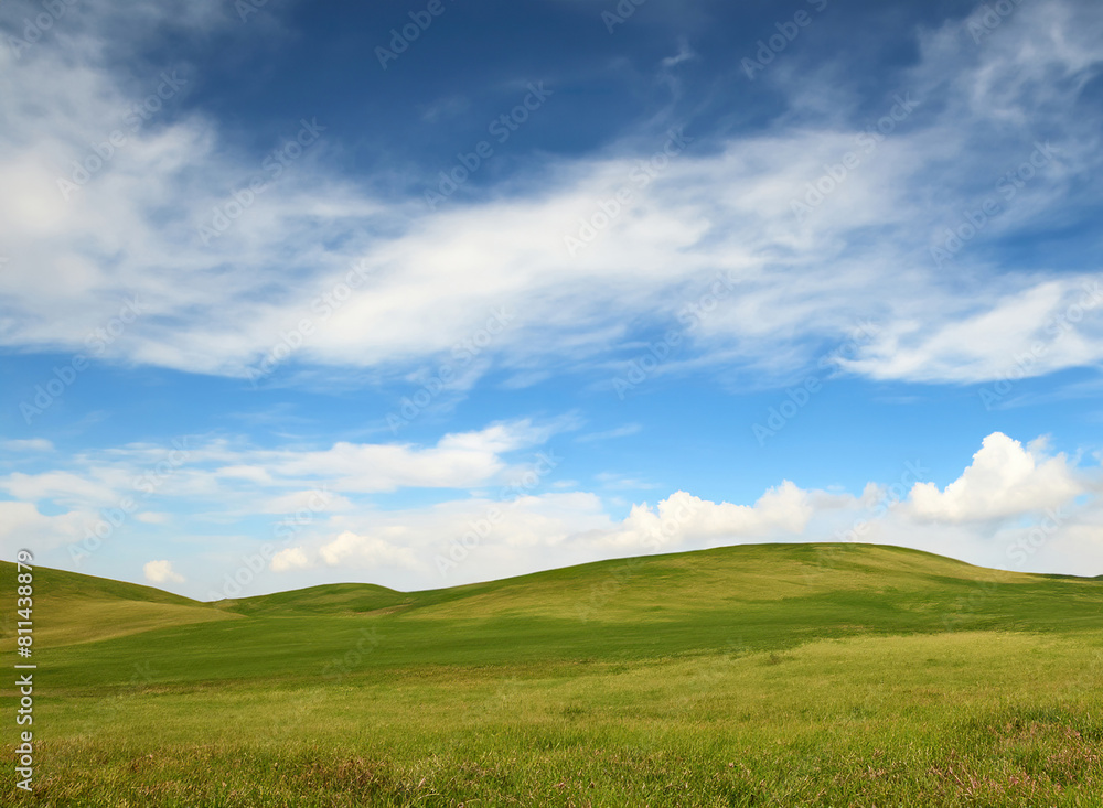 Grassy empty green plains. A view of the hilly terrain of a meadow with a cloudy sky.