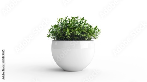 White ceramic flower pot isolated on white background.