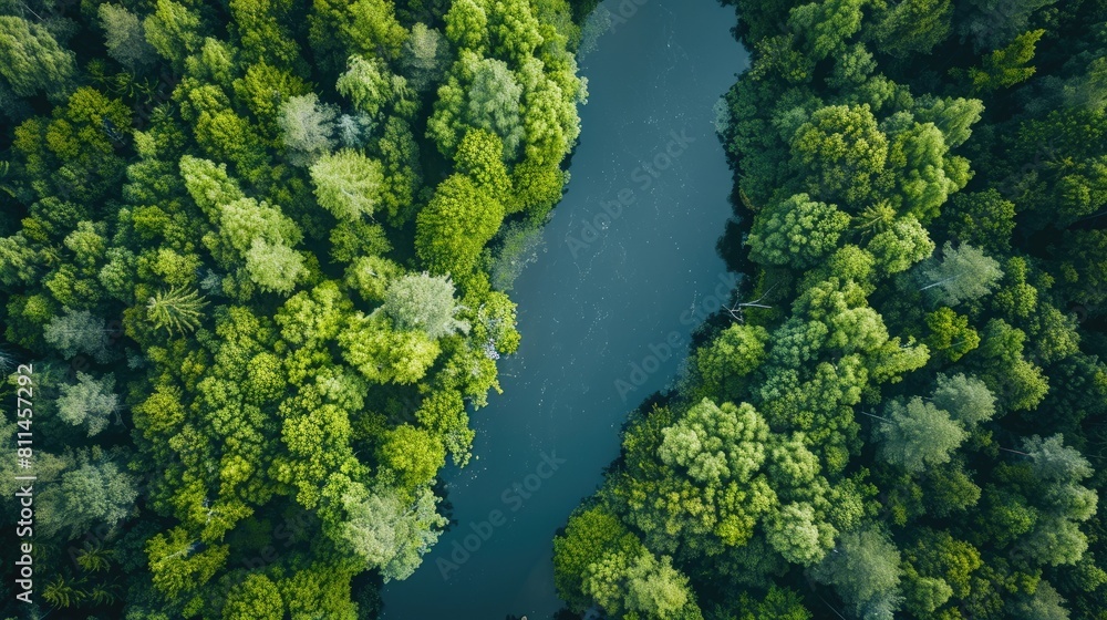 Naklejka premium During the summer a breathtaking aerial perspective captures the untamed beauty of a wild river nestled within a lush forest