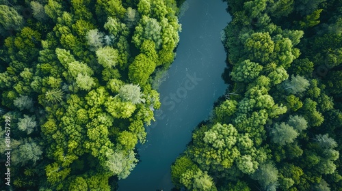 During the summer a breathtaking aerial perspective captures the untamed beauty of a wild river nestled within a lush forest