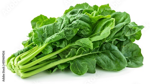Pile of greens heaped together  with green spinach isolated on a white background.