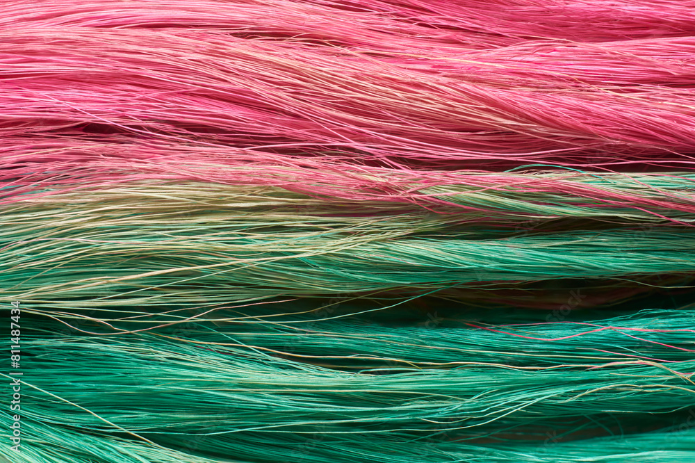 Obraz premium close-up of colorful coconut husk fiber or coir, commercially important natural fiber extracted from outer husk of coconut fruit dyed from traditional method, background texture backdrop