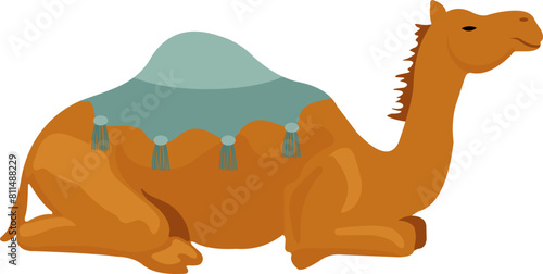 Camel Illustration